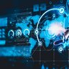 Windows 11 24h2 Bug Report and Solution
